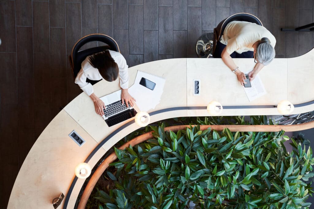 Two people work at a curved desk with laptops and notebooks, surrounded by indoor plants.