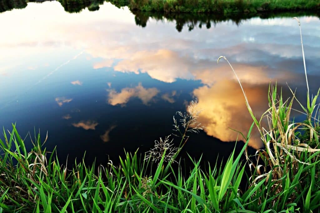 Grass by a calm river reflecting orange clouds and a blue sky.