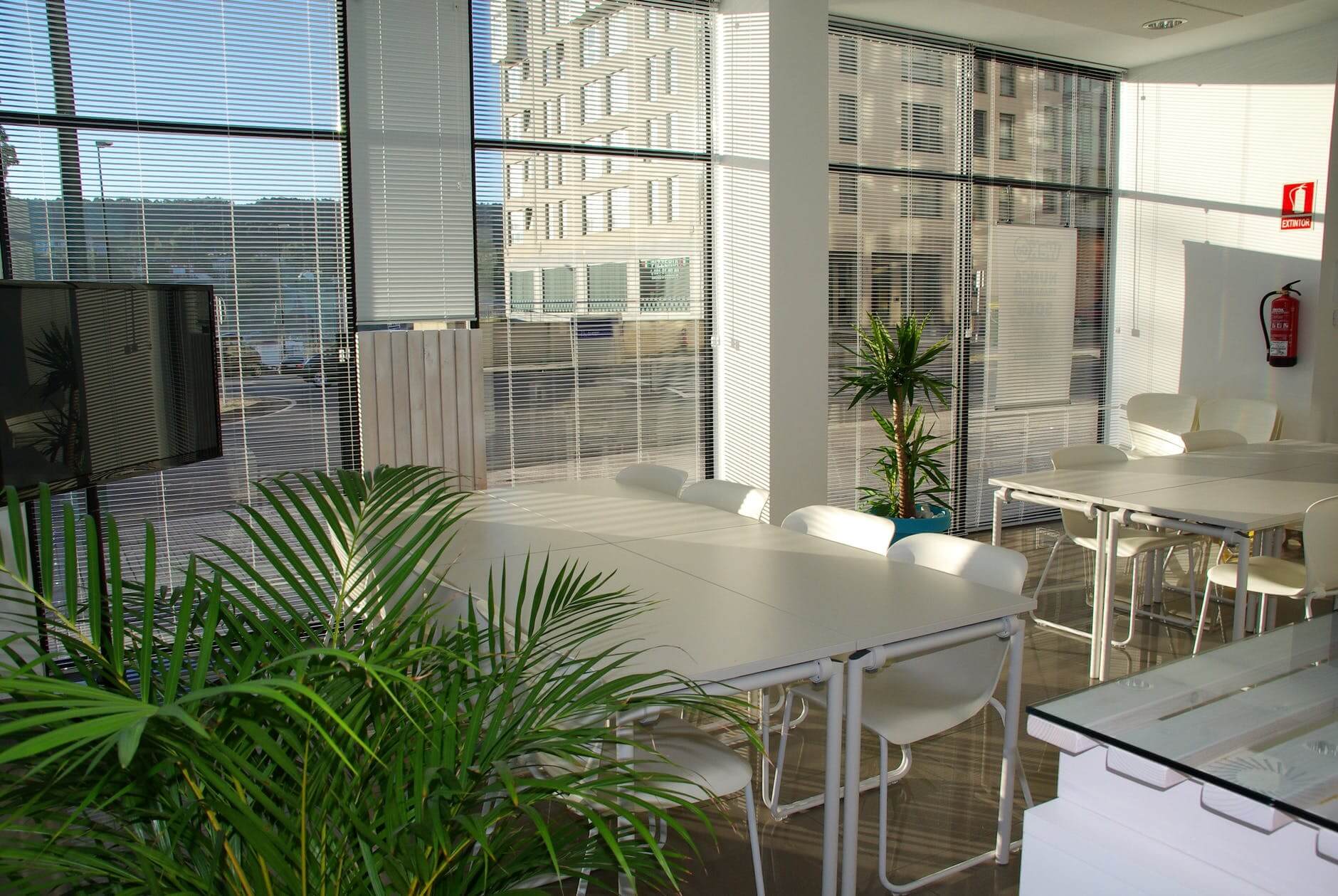 Bright meeting room with large windows, white tables and chairs, potted plants, and a wall-mounted TV.