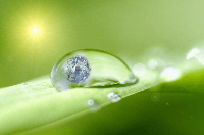 A droplet on a green leaf with an image of Earth inside, set against a sunny, blurred green background.